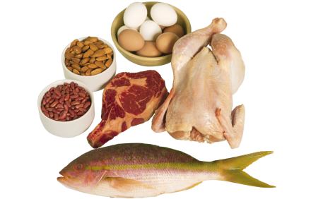 Consejos para la dieta de las proteinas